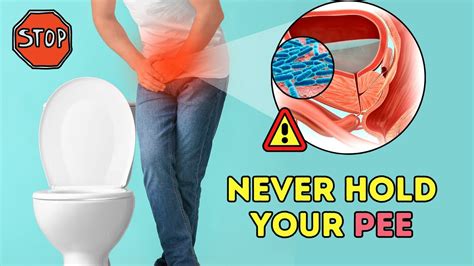 What Happens If You Hold Your Pee In For Too Long Everything You