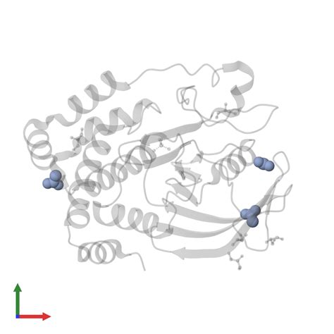 PDB 6pha Gallery Protein Data Bank In Europe PDBe EMBL EBI