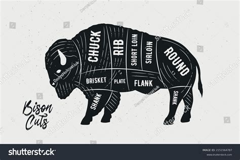 Cuts Bison Butcher Diagram Scheme Chart Stock Vector Royalty Free