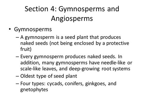 Gymnosperms And Angiosperms Venn Diagram