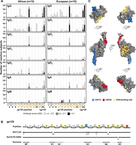 Antibody Responses To HIV 1 Clade C Gp120 And Gp120 Derived