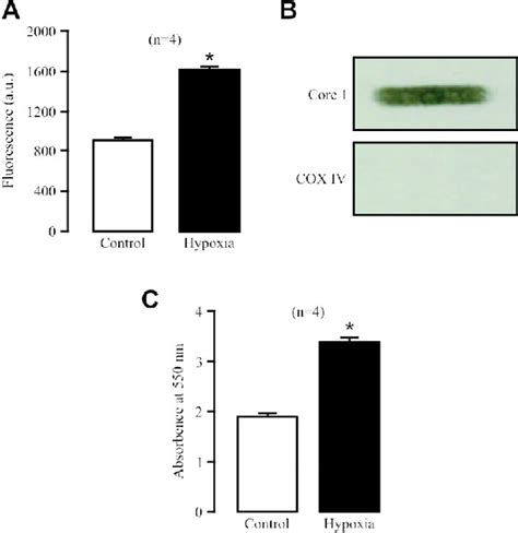 Figure 2 From Primary Role Of Mitochondrial Rieske Iron Sulfur Protein