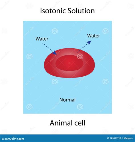 Isotonic solution stock illustration. Illustration of genes - 185991712