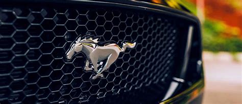 Ford Mustang Logo History: Meaning, Iterations & More | dubizzle