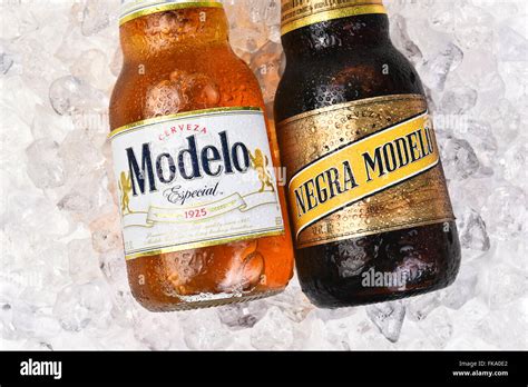 Modelo Beer Hi Res Stock Photography And Images Alamy