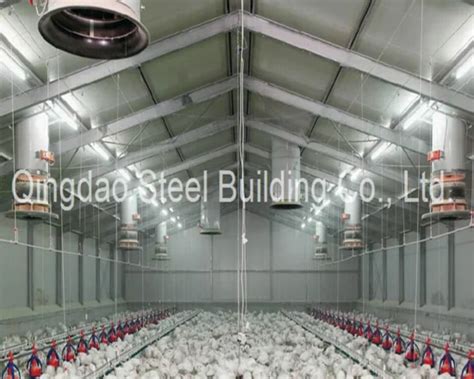 Design Prefab Steel Structure Chicken Layer Cage House Broiler Poultry