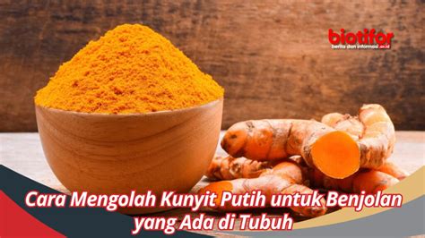 Cara Mengolah Kunyit Putih Untuk Benjolan Yang Ada Di Tubuh Biotifor