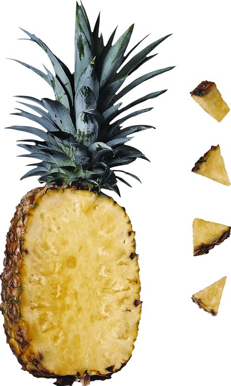 Pineapple Png Transparent File Png Mart