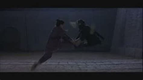 Zhang Ziyi vs Michelle Yeoh Fight Scene Vidéo Dailymotion