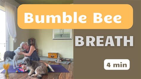 Bumble Bee Breath Or Brahmari Pranayama Youtube