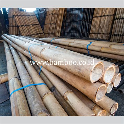 Bamboo Factory And Natural Bamboo Poles Bamboo Raw Materials Bamboo