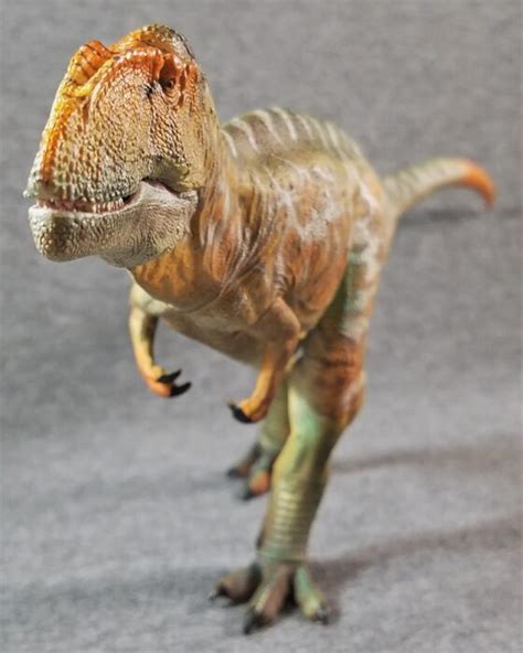 Carcharodontosaurus Gr Toys By Haolonggood Dinosaur Toy Blog