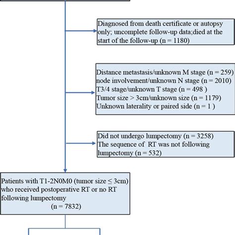 Flowchart Of The Observations Selection And Classification Charls