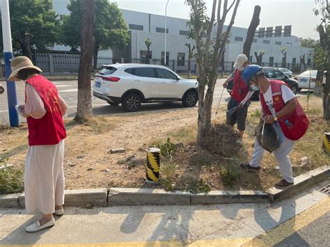 枫林社区党群服务中心：凝聚两新力量 共建文明城市