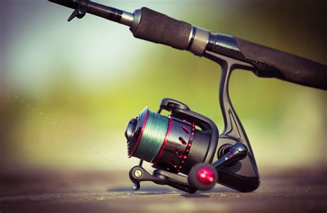 Best Fishing Reels Under $50, $100 and $200 | Top Picks