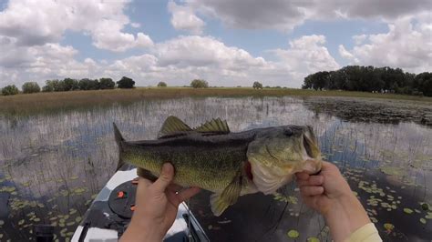 Topwater Frog Bass Fishing On Friday The 13th YouTube