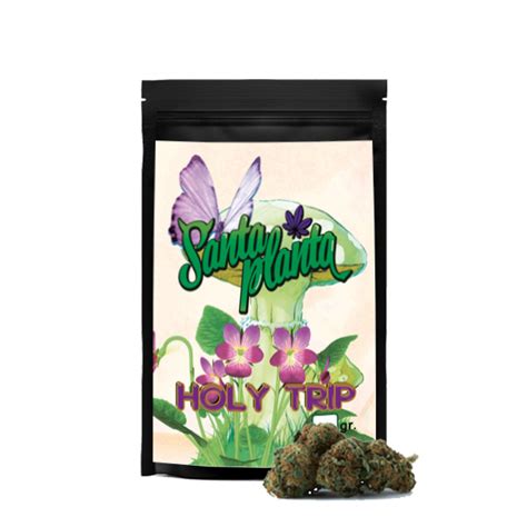 Holy Trip Gr Santa Planta Santaplanta Grow Shop