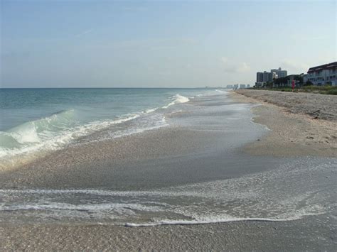 The Best of Largo, Florida | Travel & Lifestyle Blog