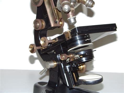 Leitz Binocular Microscope Old Microscopes Collection