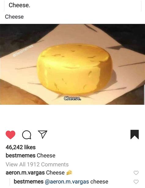 The best Cheese memes :) Memedroid