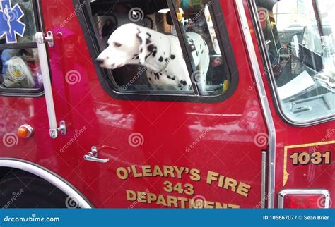 65+ Dalmatian On Fire Truck Image - Bleumoonproductions