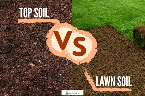 Topsoil Vs Lawn Soil What S The Difference