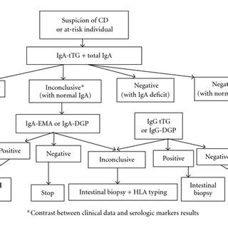 Algorithm proposal for biologic diagnosis of celiac disease. | Download ...