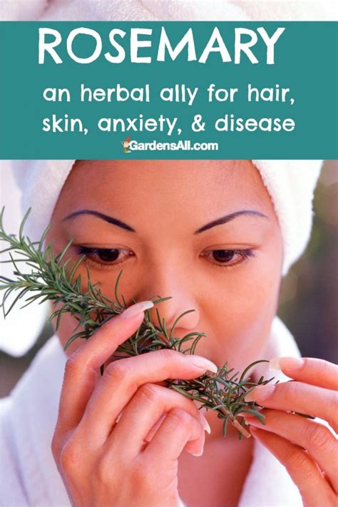 Healthy Benefits Of Rosemary A Powerful Herb For Longevity