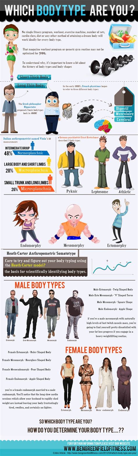 Infographics on human body types | Body types, Infographic, Male body