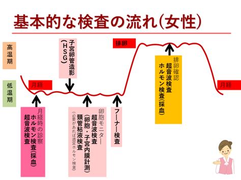 初めて不妊治療を受けられる方へ 不妊治療 京野アートクリニック高輪（東京 港区 品川）