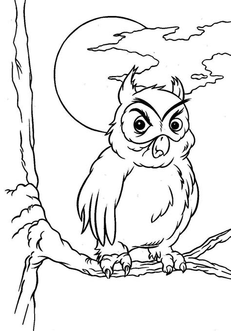 Coloriage Hibou 8580 Animaux Dessin à colorier Coloriages à