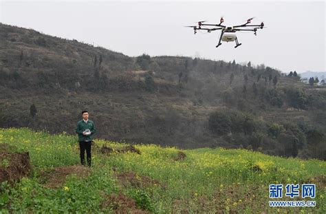 Drohnen Helfen Bei Der Feldarbeit China Org Cn