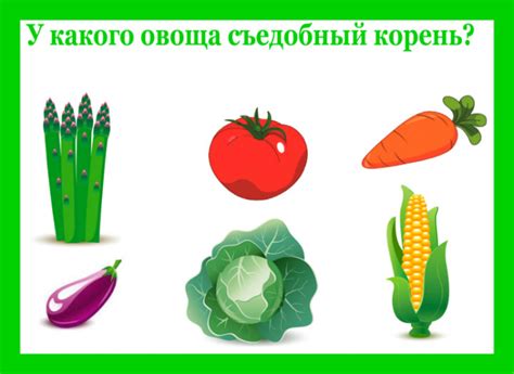 Какой овощ? — 2 ответов | форум Babyblog
