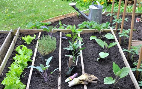 Jardiner Son Potager Dans De Petits Espaces Avec La S Paration En Carr S