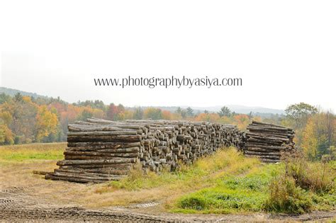 Impressions of Limerick {Limerick Maine Photography}- Limerick, Maine ...