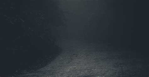 Mysterious Spooky Lane In Dark Forest · Free Stock Photo