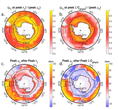 Relative Size And Timing Of Depth Integrated Phytoplankton Specific