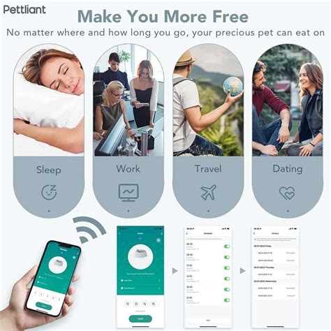 We Bought An Amazing Automatic Pet Feeder For Our 2 Cats! » Mac's Opinion