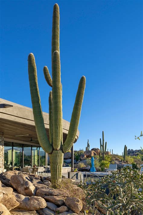 Music critics debate the parker kay influence on modern pop 12