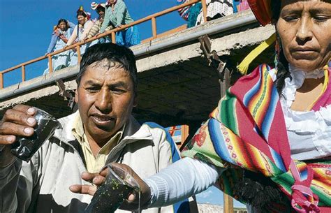 Puno Instalarán Mesa Técnica Por Contaminación De Metales Pesados En Coata Periódicos Del Perú