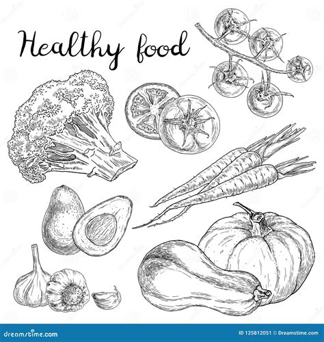 Healthy Food Sketches Stock Illustration Illustration Of Natural