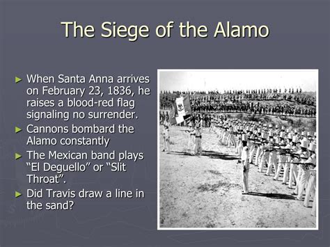 PPT - The Alamo PowerPoint Presentation, free download - ID:5412592