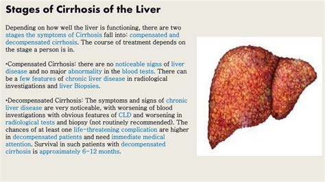 PPT Liver Cirrhosis Symptoms Stages Diagnosis And Treatment