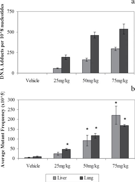 Dna Adduct Formation A And Lacz Mutant Frequency B In The Lungs And