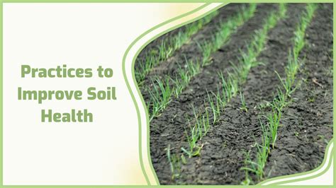 How To Improve Soil Quality