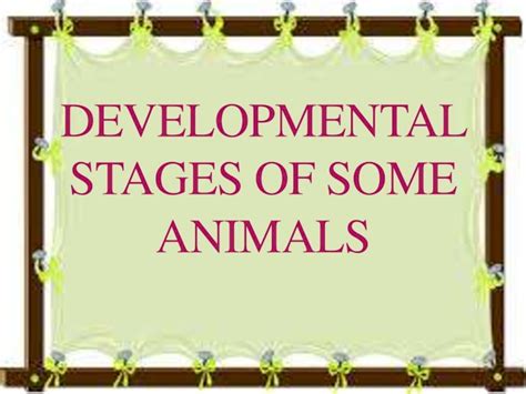 (PDF) Developmental stages of some animals - DOKUMEN.TIPS