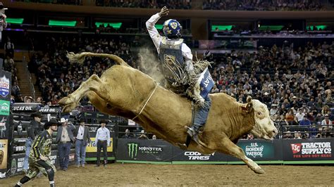 The Basics Of Bull Riding A Look Into The ‘most Dangerous 8 Seconds In