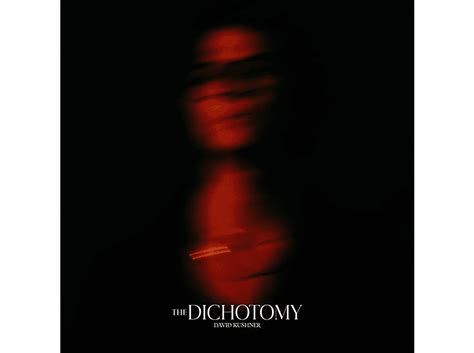 VIRGIN MUSIC David Kushner The Dichotomy Std 2LP LP