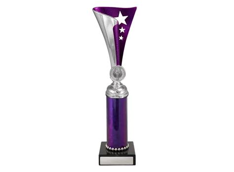 Epic Cup Silver And Purple Sproule Trophies Corporate Awards