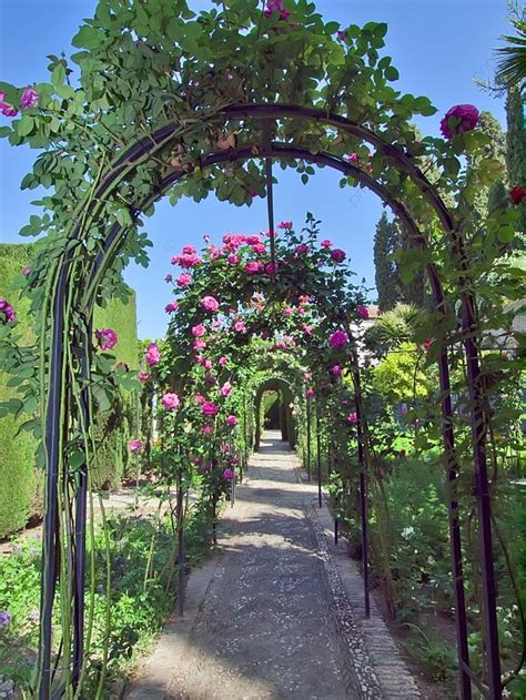 Background Gapura Dari Mawar Di Taman Istana Alhambra Foto Dan Gambar